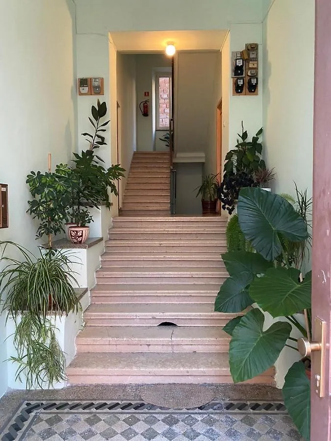 Cave Design Apartment Pula